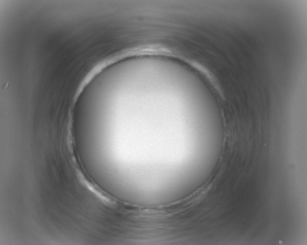 X0000082691374200701260943