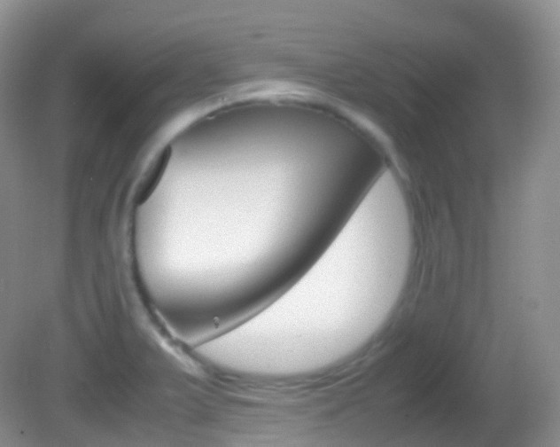 X0000082691375200701260943