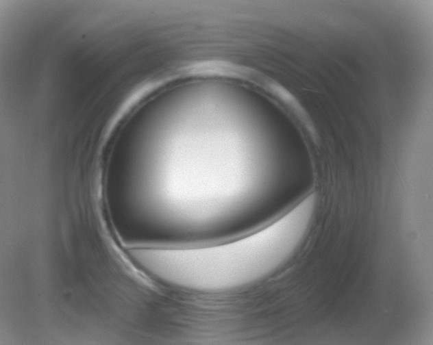 X0000082691376200701260943