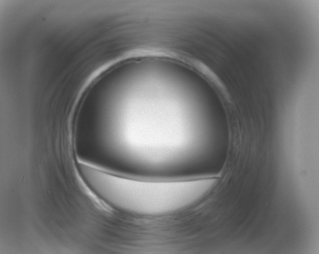 X0000082691380200701260943
