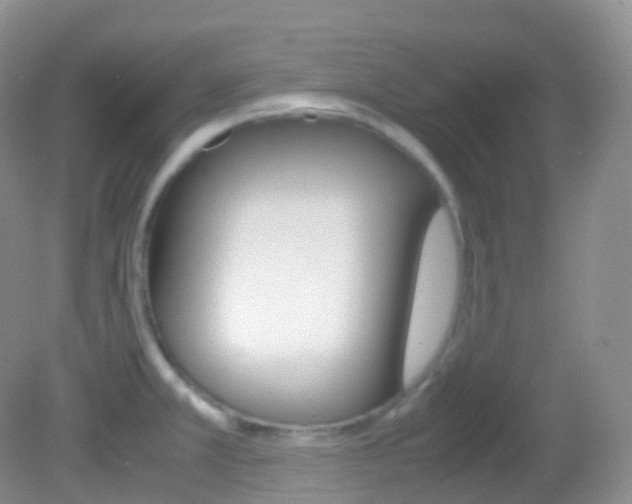 X0000082691381200701260943