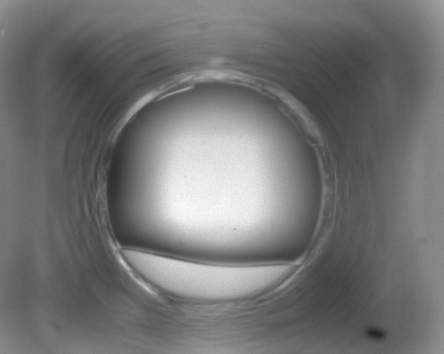 X0000082691385200701260943