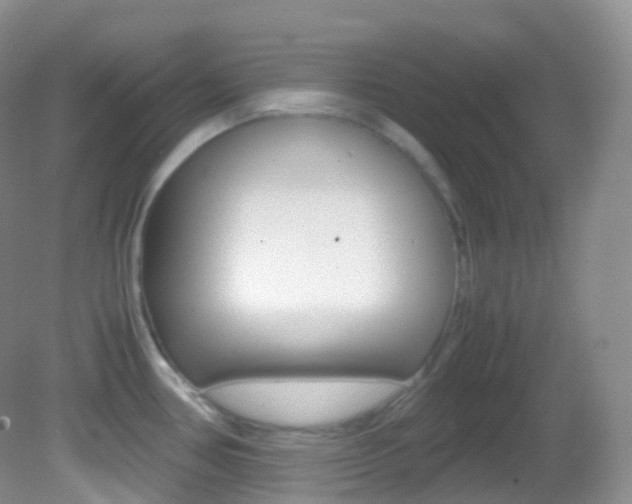 X0000082691386200701260943