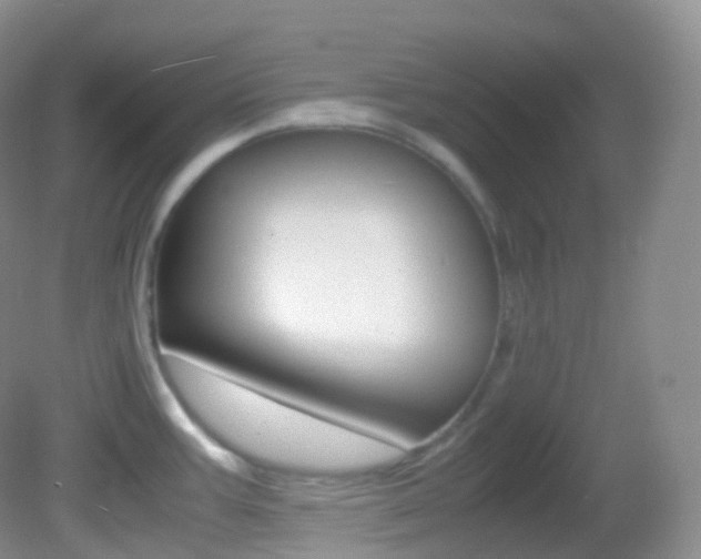 X0000082691387200701260943