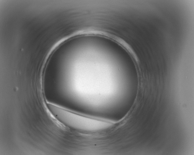 X0000082691388200701260943
