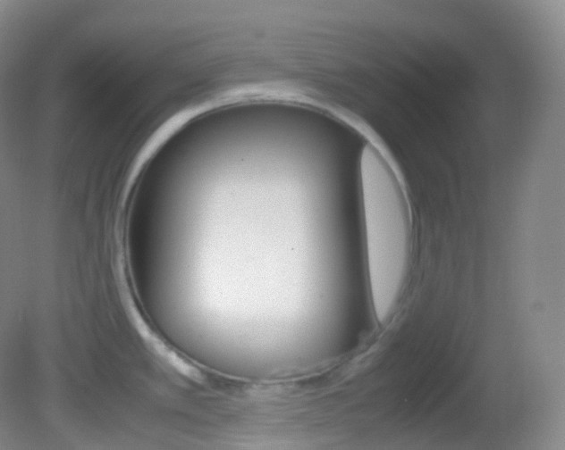 X0000082691389200701260943