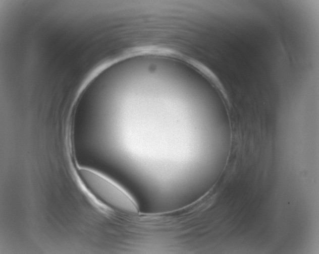 X0000082691391200701260943