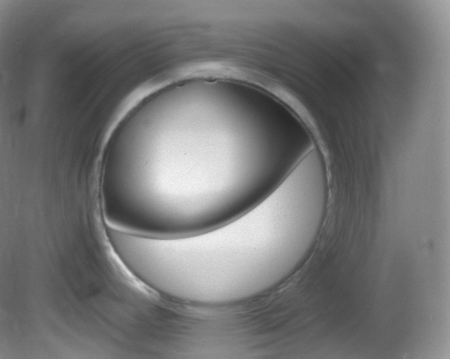 X0000082691392200701260943