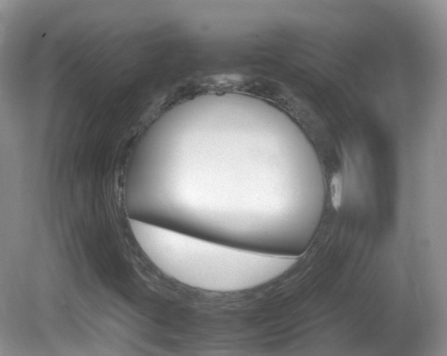 X0000082691395200701260942