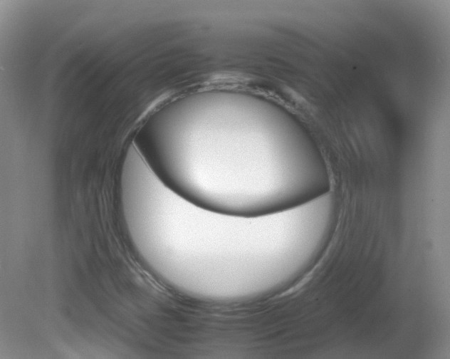 X0000082691401200701260942