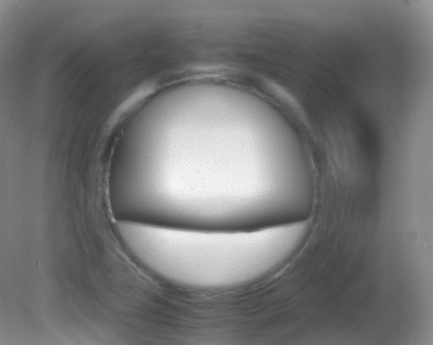 X0000082691411200701260943