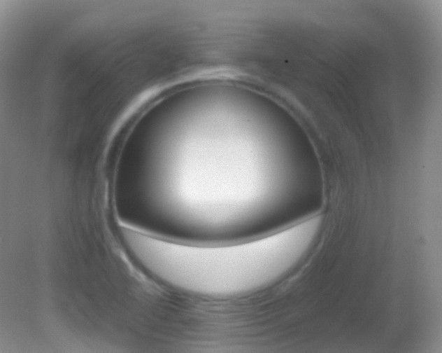 X0000082691414200701260943