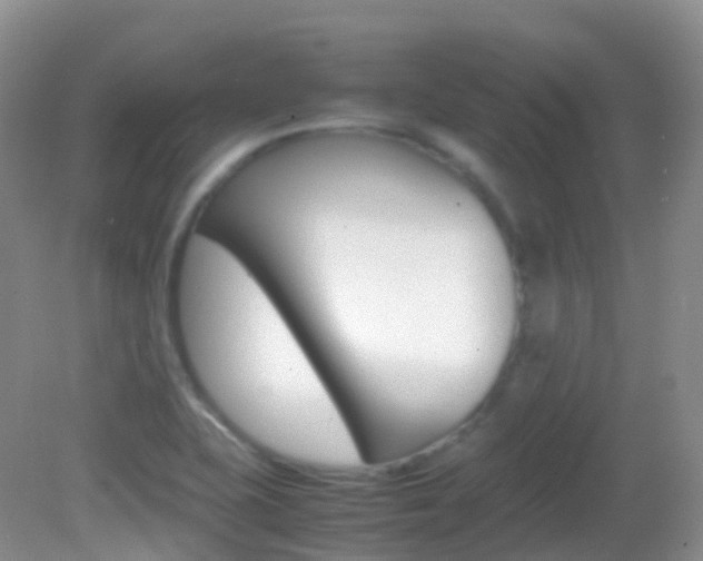 X0000082691415200701260943
