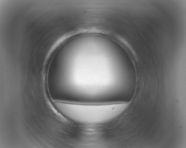 X0000082691416200701260943
