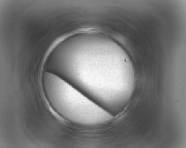X0000082691421200701260943