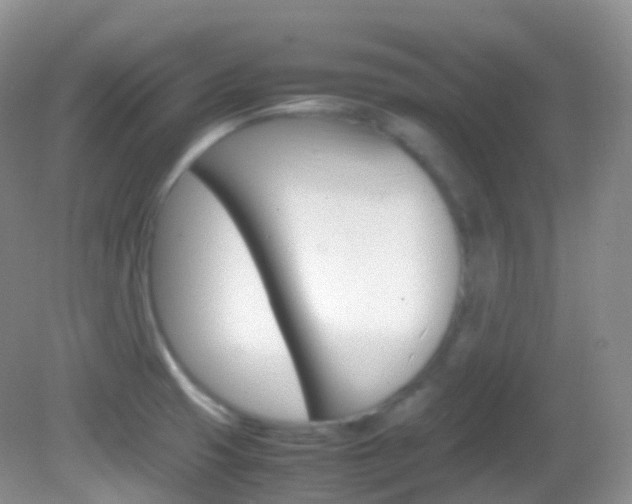 X0000082691425200701260943