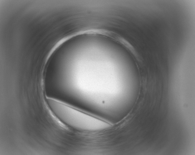 X0000082691428200701260943