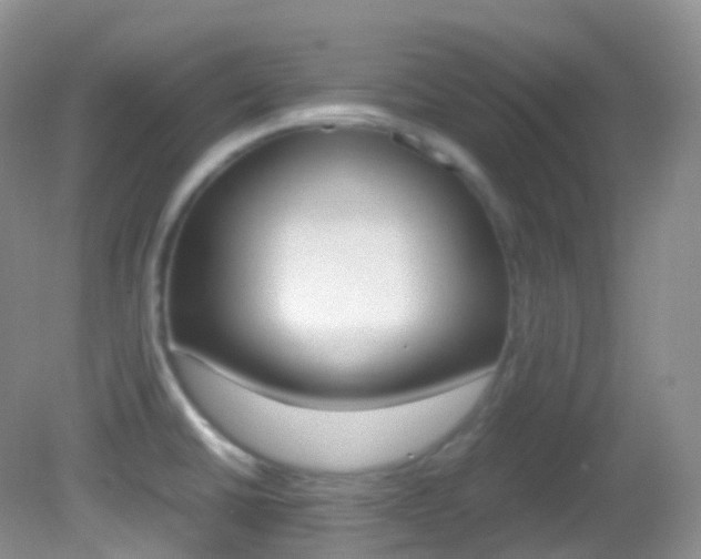 X0000082691430200701260943