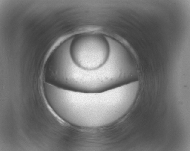 X0000082691432200701260943