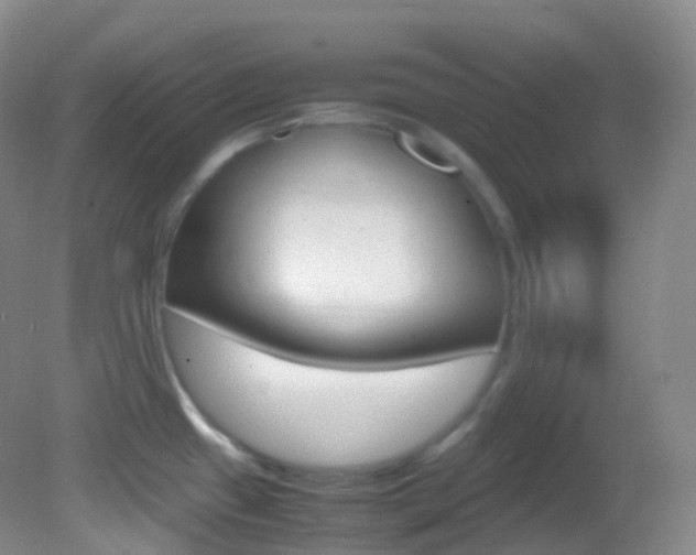 X0000082691433200701260943