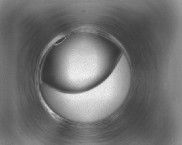 X0000082691434200701260943