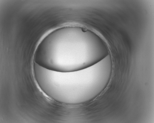X0000082691440200701260943