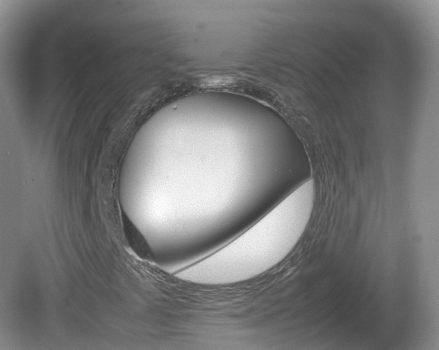X0000082691441200701260942