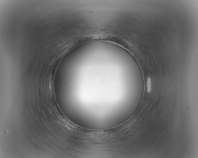 X0000082691444200701260942