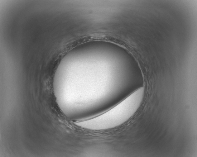 X0000082691445200701260942