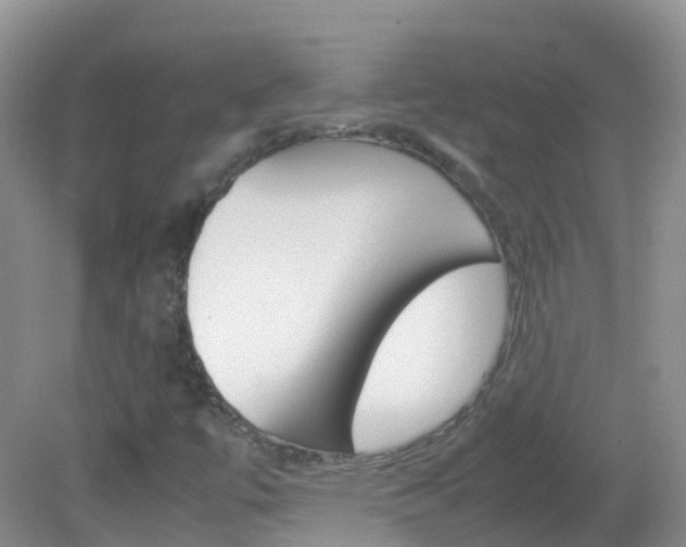 X0000082691447200701260942