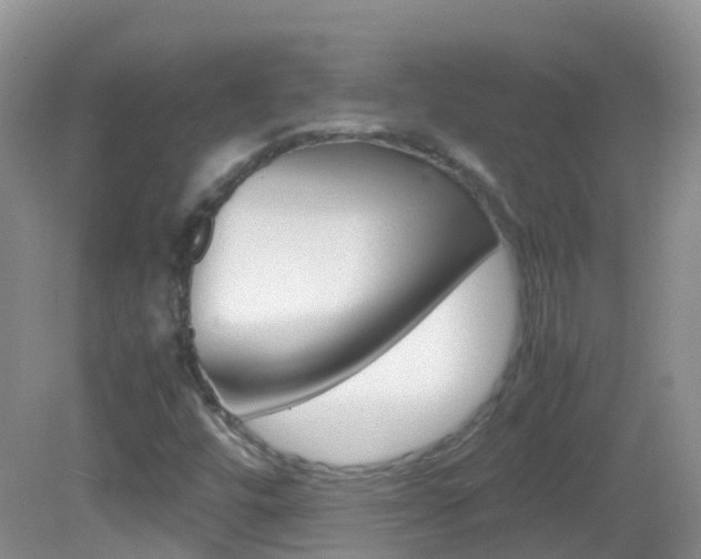 X0000082691448200701260942