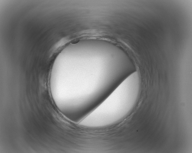 X0000082691451200701260942