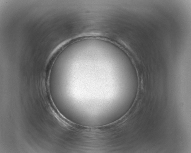 X0000082691452200701260942