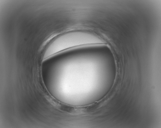 X0000082691453200701260942