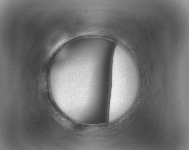 X0000082691455200701260942