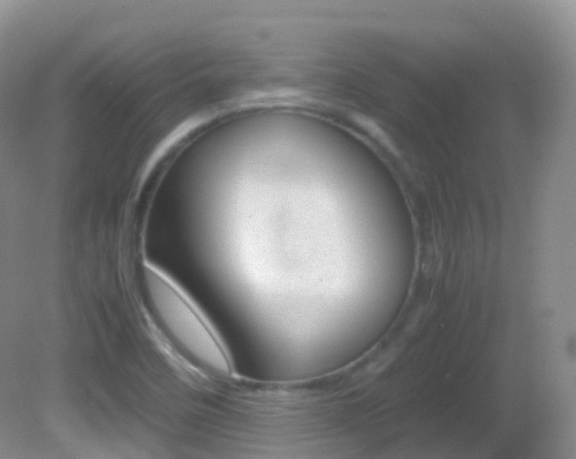 X0000082691458200701260942
