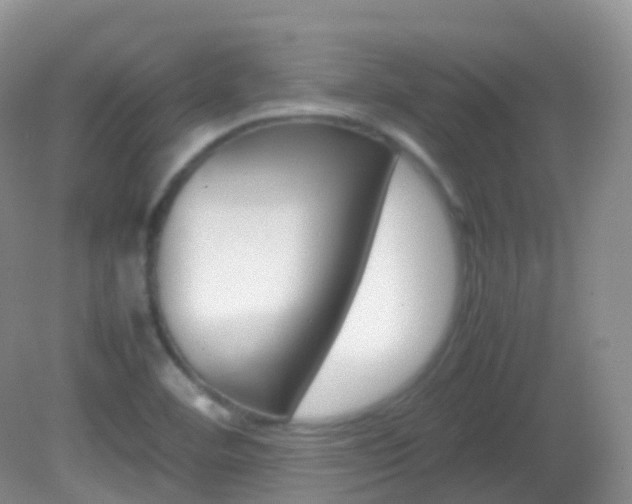 X0000082691460200701260942