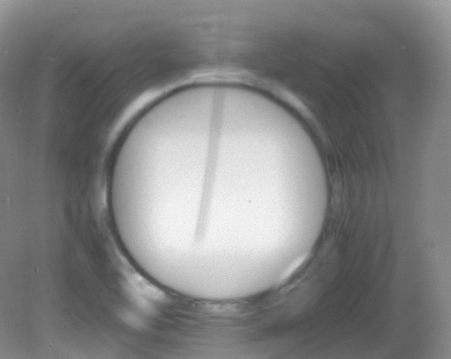 X0000082691462200701260942