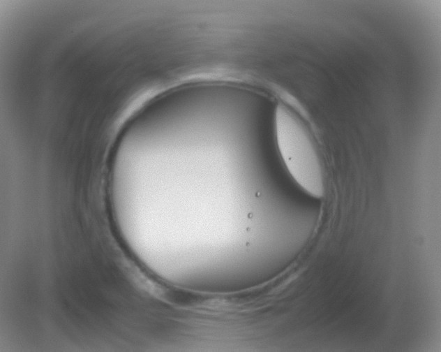 X0000082691463200701260942