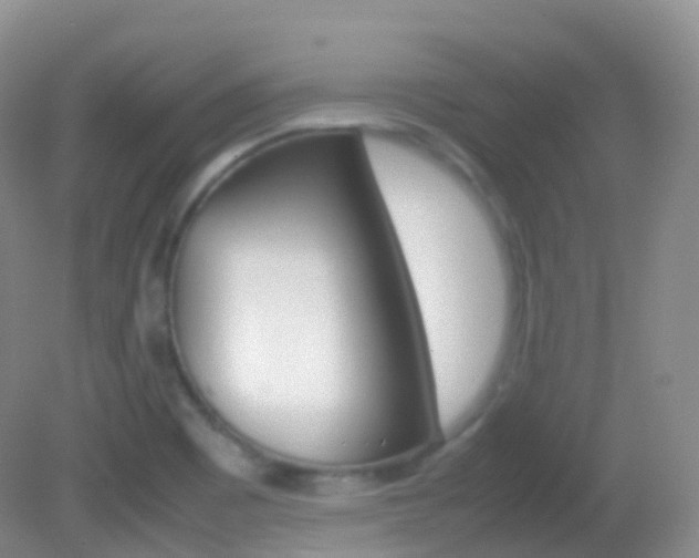 X0000082691465200701260942