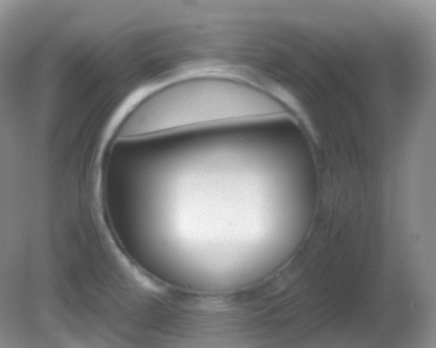 X0000082691472200701260942