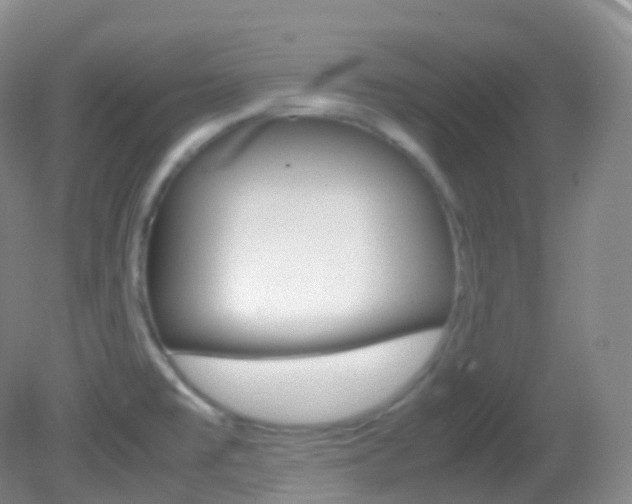 X0000082691477200701260942