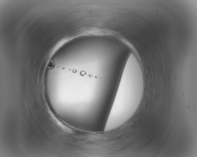 X0000082691479200701260942