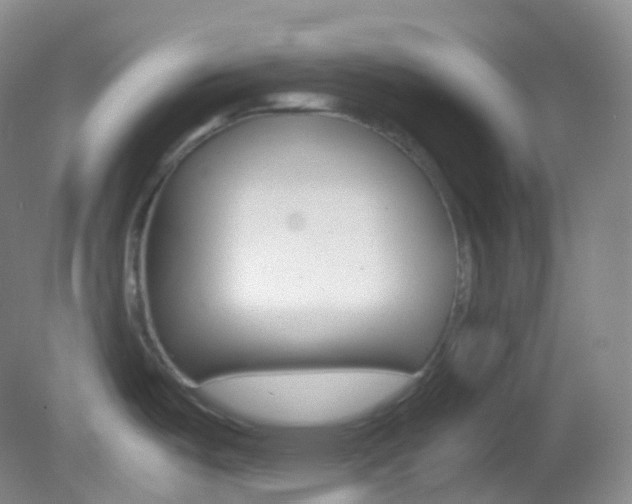 X0000082691487200701260941