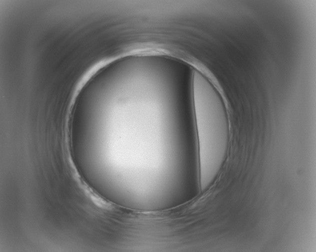 X0000082691488200701260941