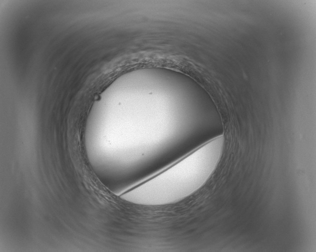 X0000082691489200701260941