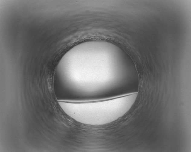 X0000082691490200701260941