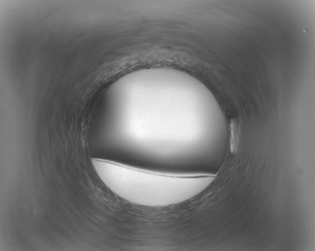 X0000082691491200701260941