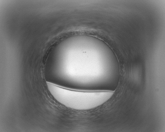 X0000082691493200701260941