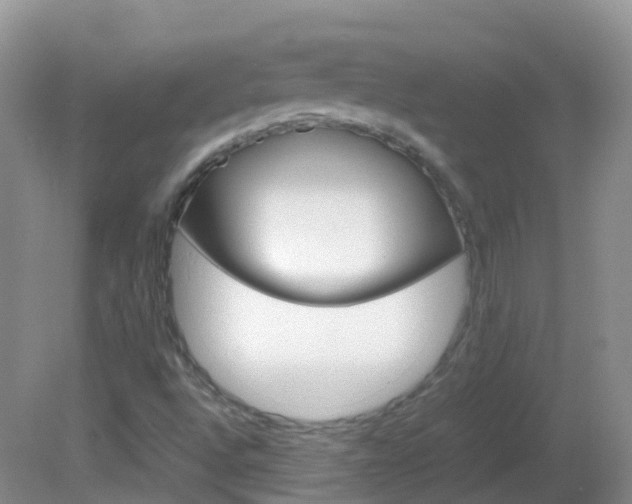 X0000082691496200701260941